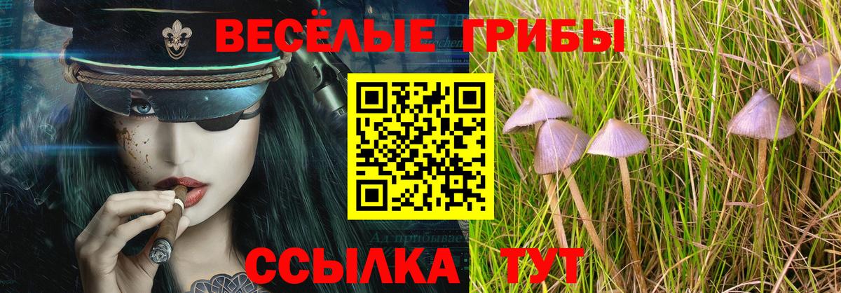 Галлюциногенные грибы MAGIC MUSHROOMS Кизляр