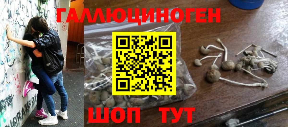 Кизляр  Псилоцибиновые грибы мухоморы  где можно купить наркотик  Вход с VPN 